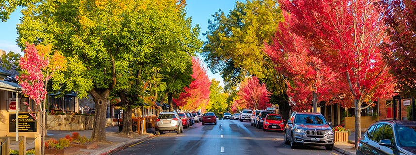 main street of hahndorf in autumn jpg