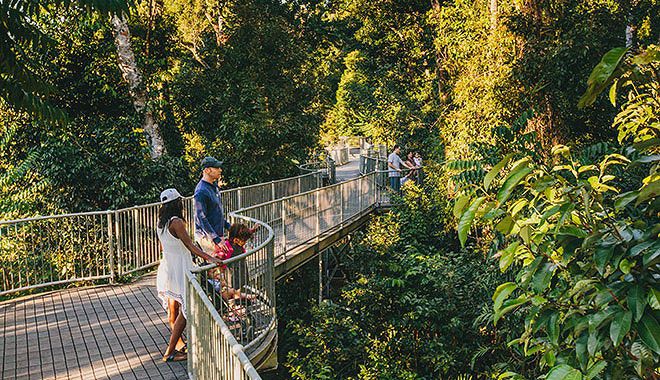 mamu tropical skywalk 2019 3 jpg