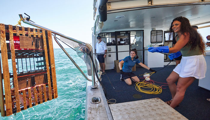 mandurah wild seafood experience6