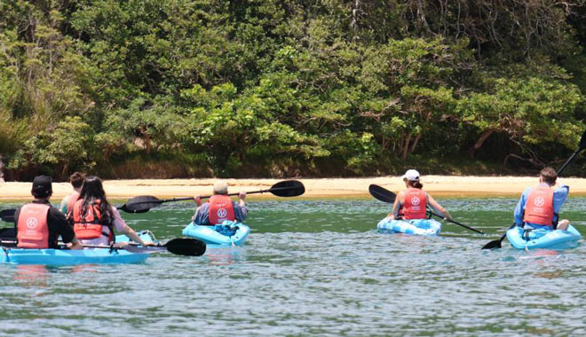 manly Guided Kayak Tour 002