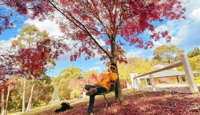 melb autumn leaves 007