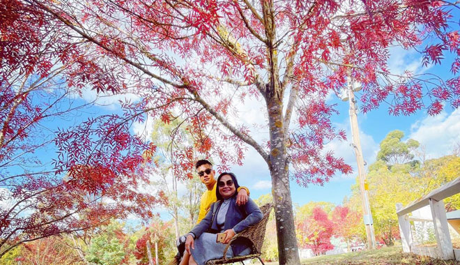 melb autumn leaves 009