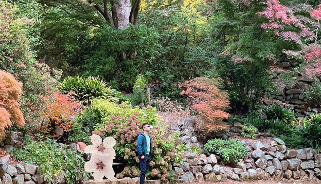 melb autumn leaves 010