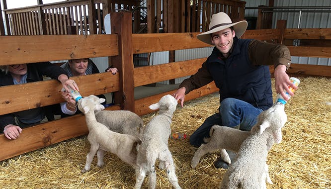 melbourne creswick wollen mill 4 jpg