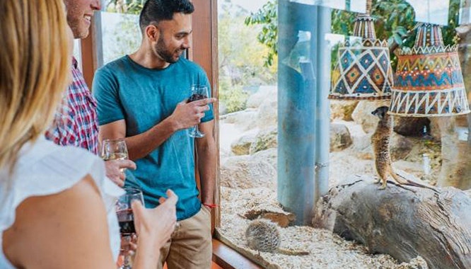 melbourne zoo 12 jpg