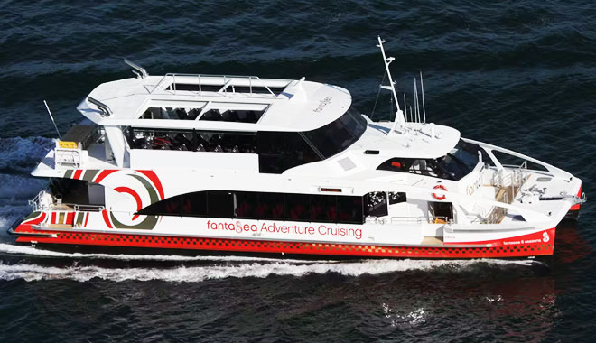 midnight fireworks cruise on fantasea 8 seasons2