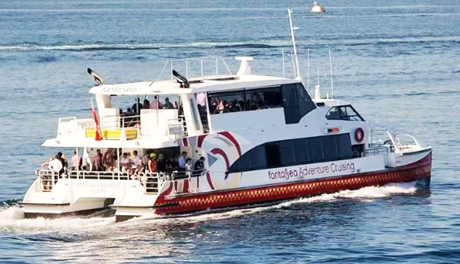 midnight fireworks cruise on fantasea 8 seasons4