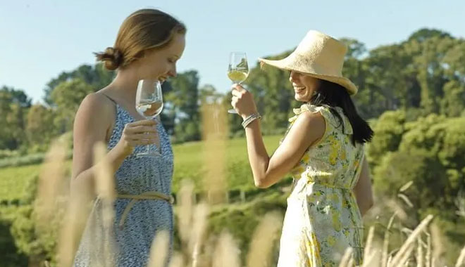 mornington peninsula wine and food lovers day tour melbourne1