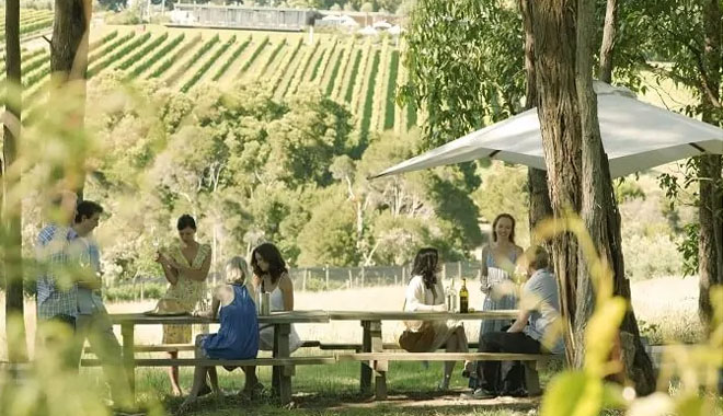 mornington peninsula wine and food lovers day tour melbourne2