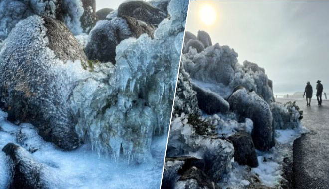 mt wellington wb 2001