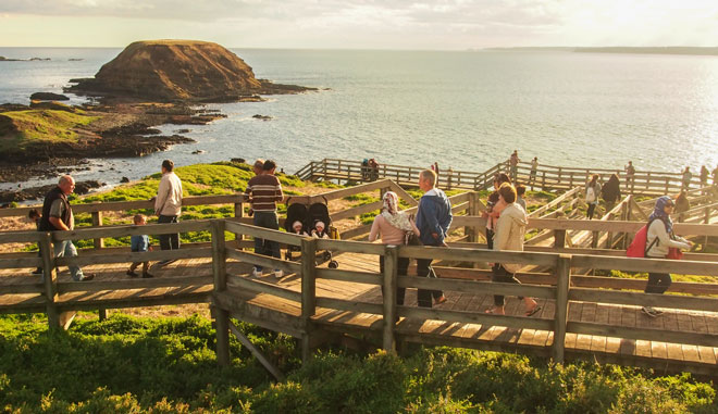 noobies boardwalk with people