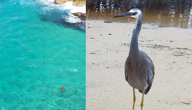 north stradbroke island1