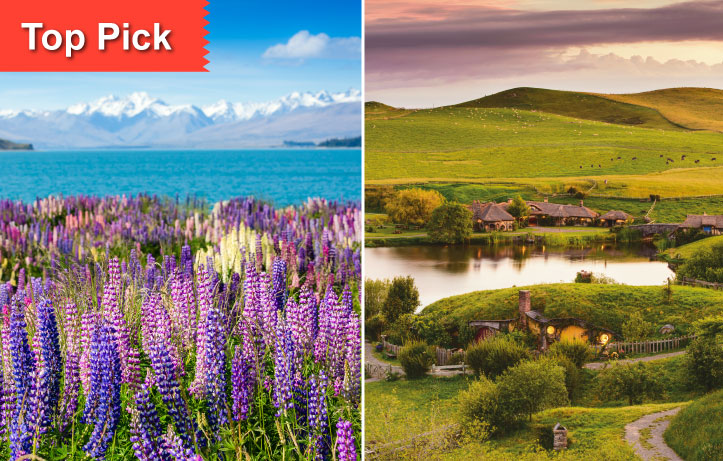 nz 13day south north island food scenic tour
