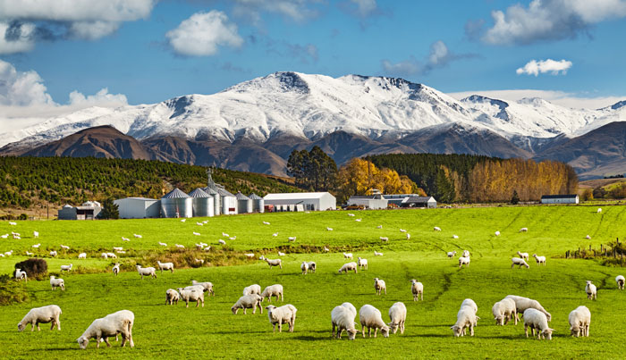 nz landscape AdobeStock 539259893