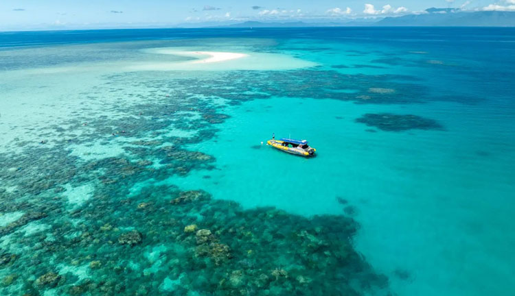 ocean safari 001 web