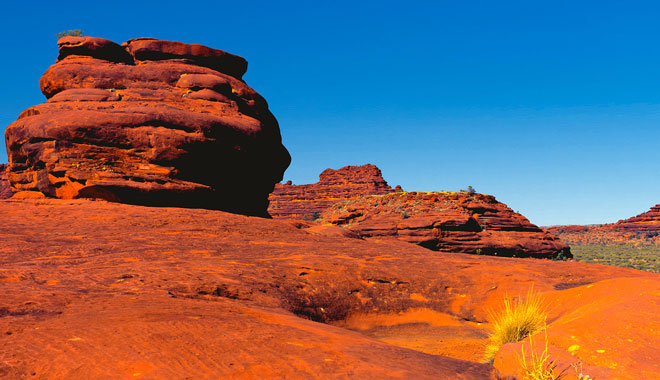 palm valley dry season