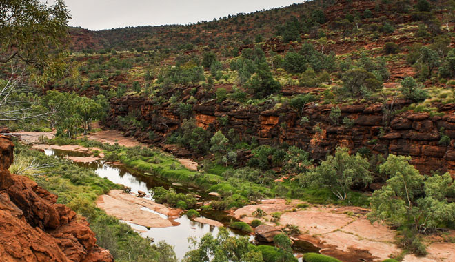 palm valley river.pg