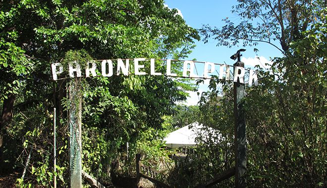 paronella park 1