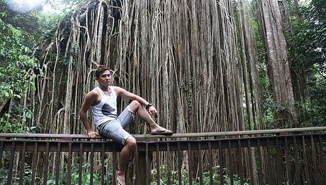 paronella park 9 jpg