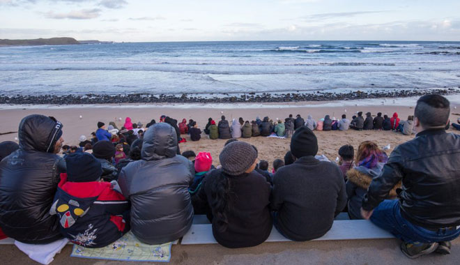 penguin people viewing