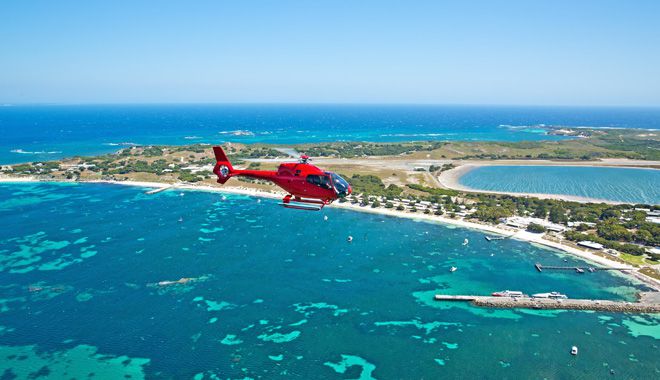 perth rottnest island 11