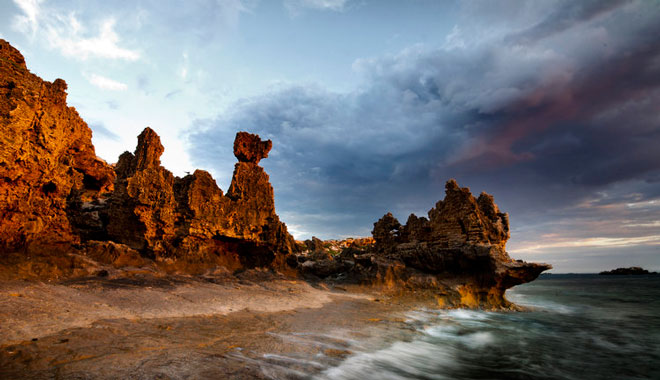 Penguin Island, Shoalwater Marine Park, Rockingham Western Australia