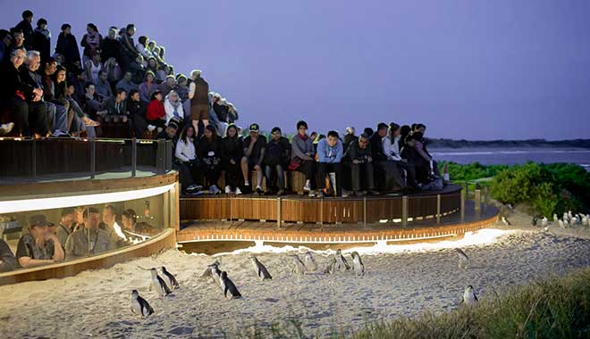 phillip island 1