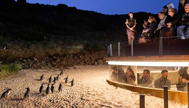 phillip island 3