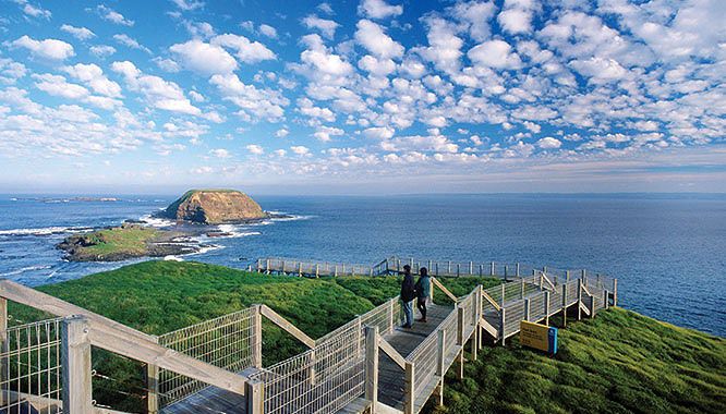 phillip island 4 jpg