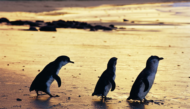 !Job:    26197, Layout:        0!