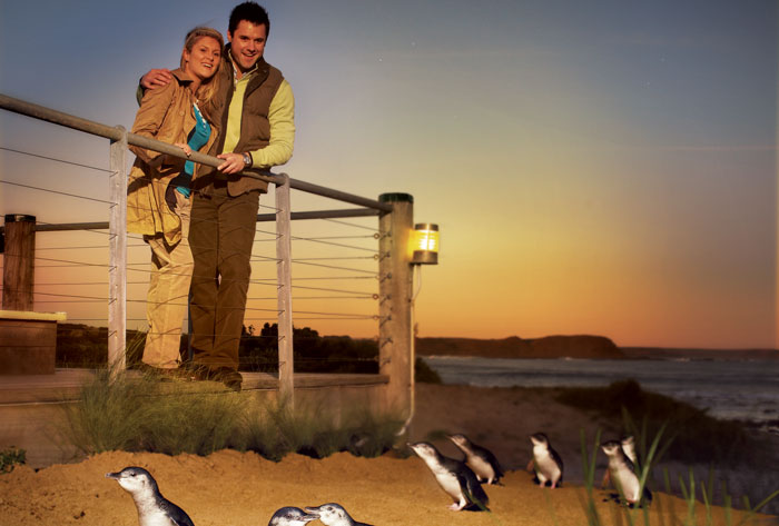 Phillip Island Nature Park