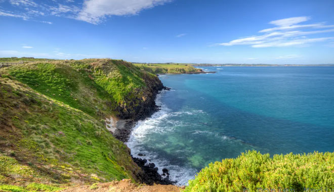 phillip island tour2