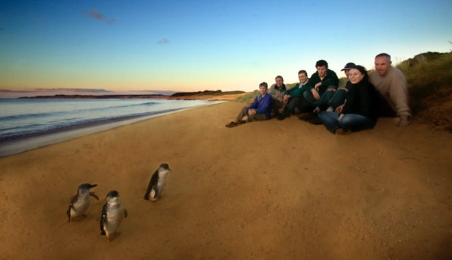 phillip island tour3