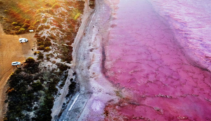 Hutt Lagoon, near Port Gregory