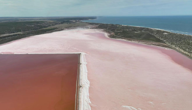 pink lake1