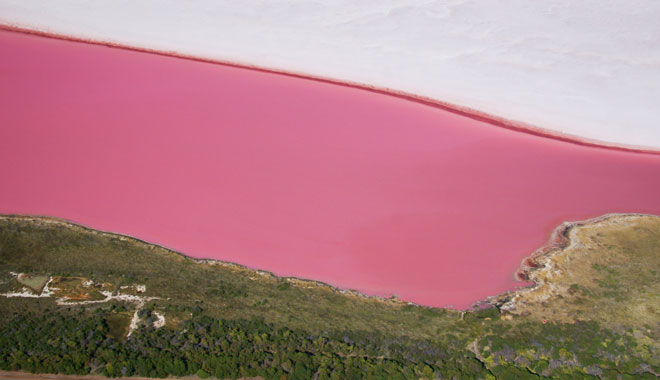 Pink Lake (Hutt Lagoon, Western Australia)