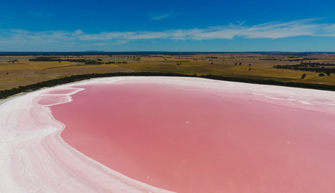 pink lake660