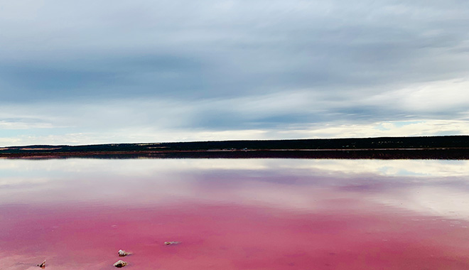 pink