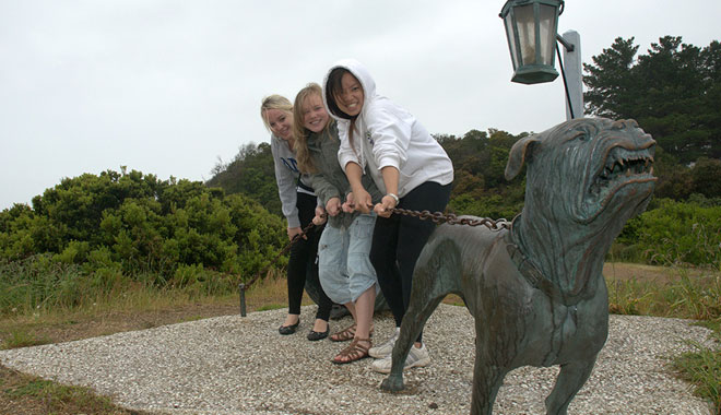 port arthur day tour10