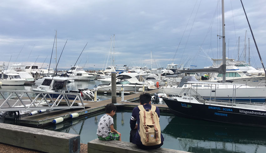 port stephen dolphin  4001