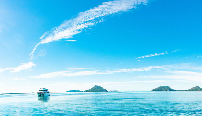 MSTQC Nett Rates 20/21a