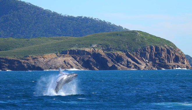 MSTQC Nett Rates 20/21a