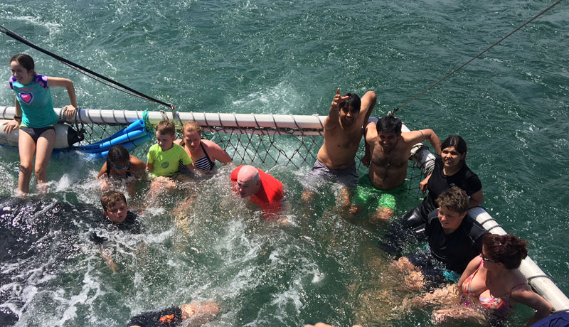 port stephen dolphin discovery 001