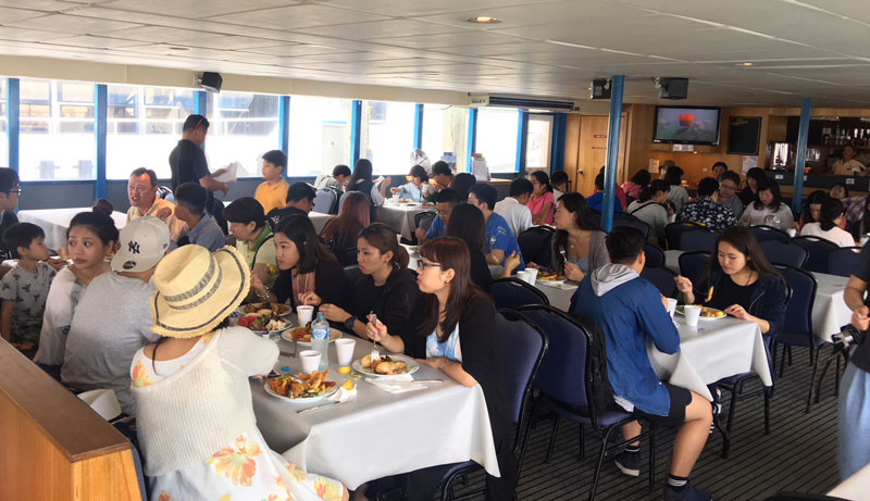 port stephen dolphin discovery 002