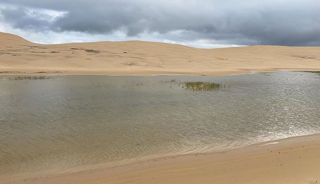 port stephen sandboarding adventure pass sydney10