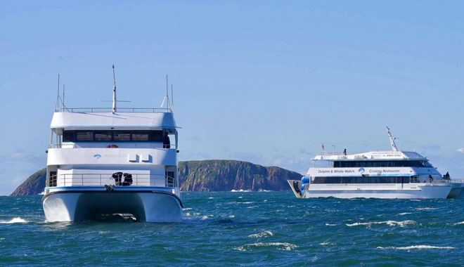 port stephens dolphin cruise and dunes package new south wales9