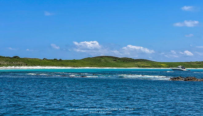 port stephens fingal island eco walk lighthouse tour5