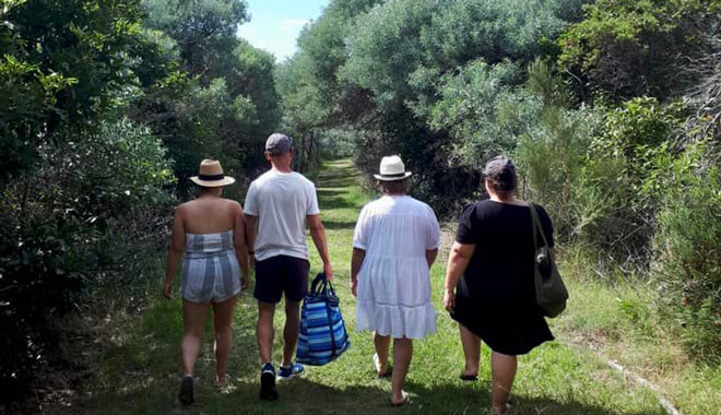 port stephens fingal island eco walk lighthouse tour9