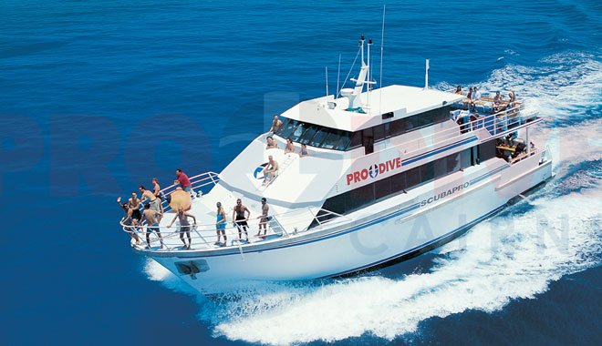 !Job:   111842, Layout:        1!