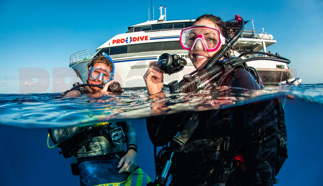 prodive 3